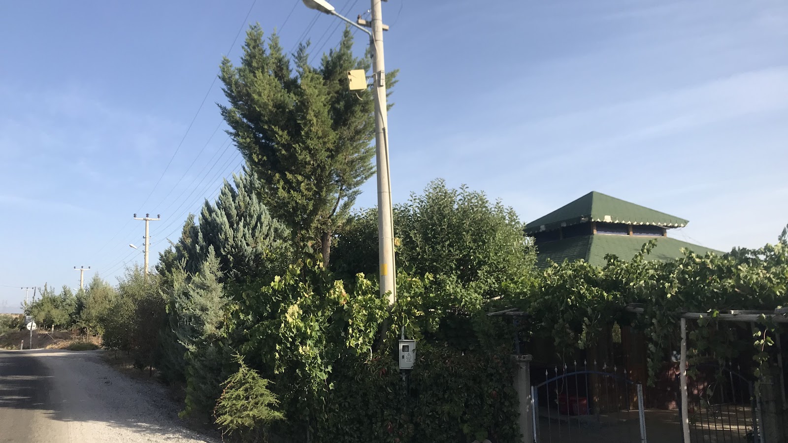 Mavi Konak Kafeterya — photo 3
