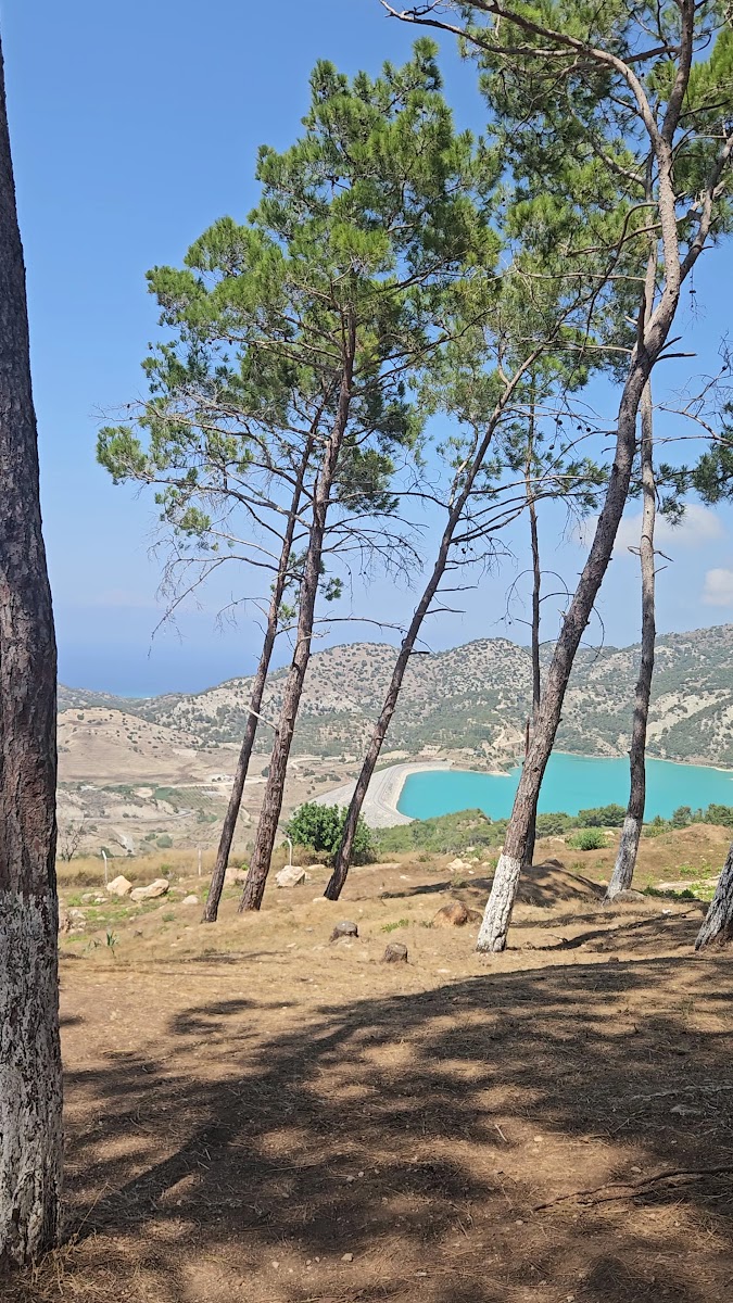 Mavi Köşk — photo 2