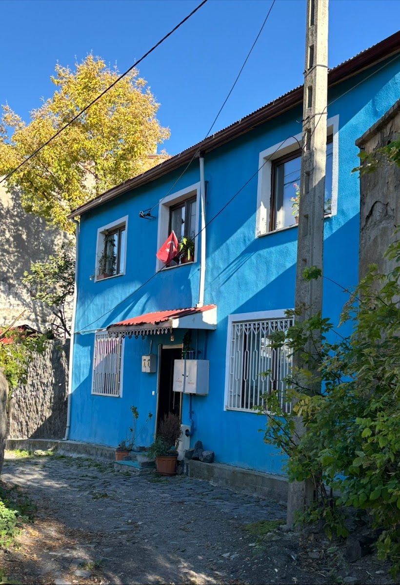 MAVI LADIN KONUKEVI — fotoğraf 3