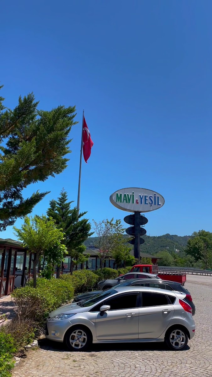 Mavi Yeşil Restaurant — fotoğraf 7