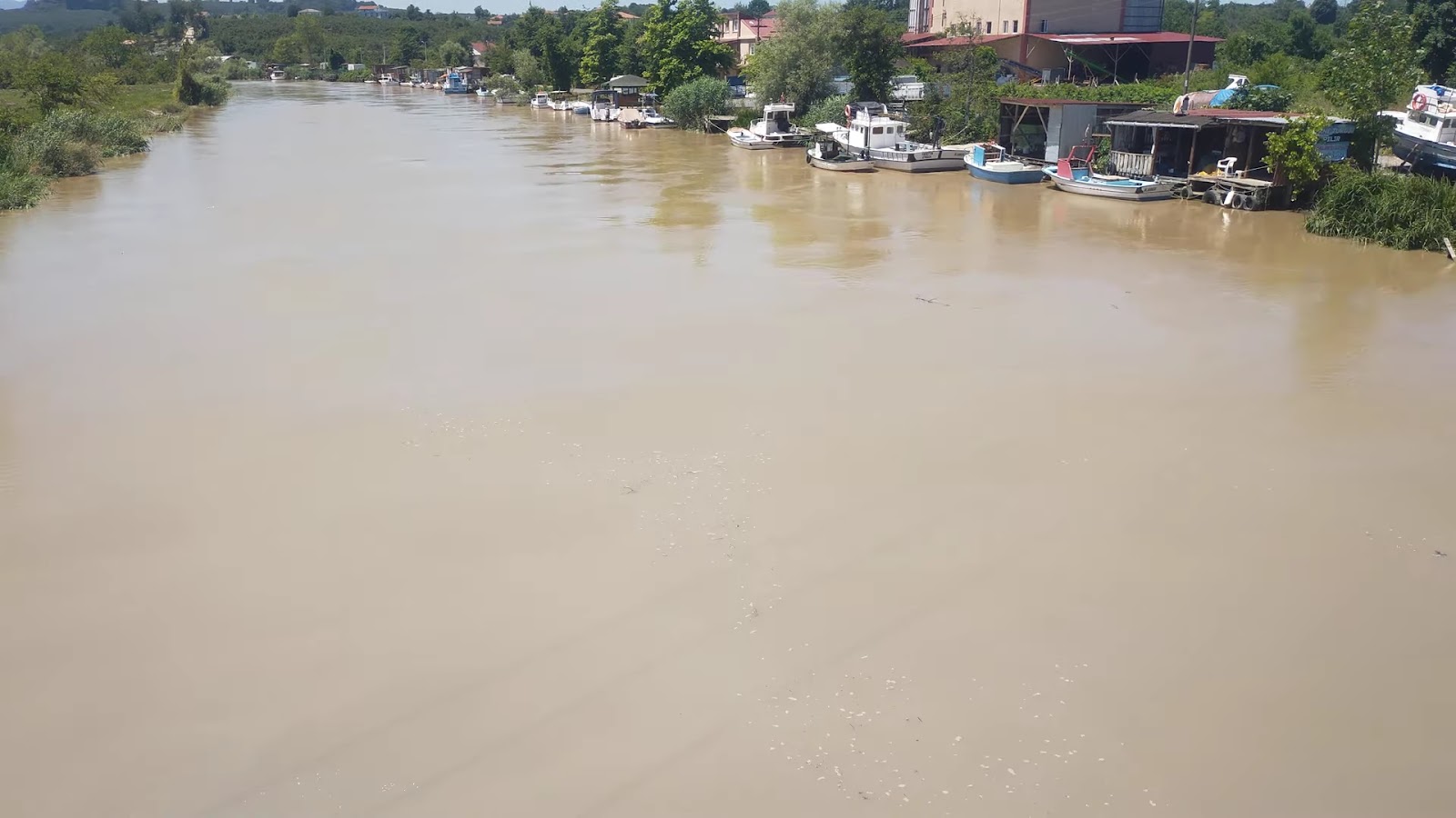 Melenağzı — fotoğraf 1