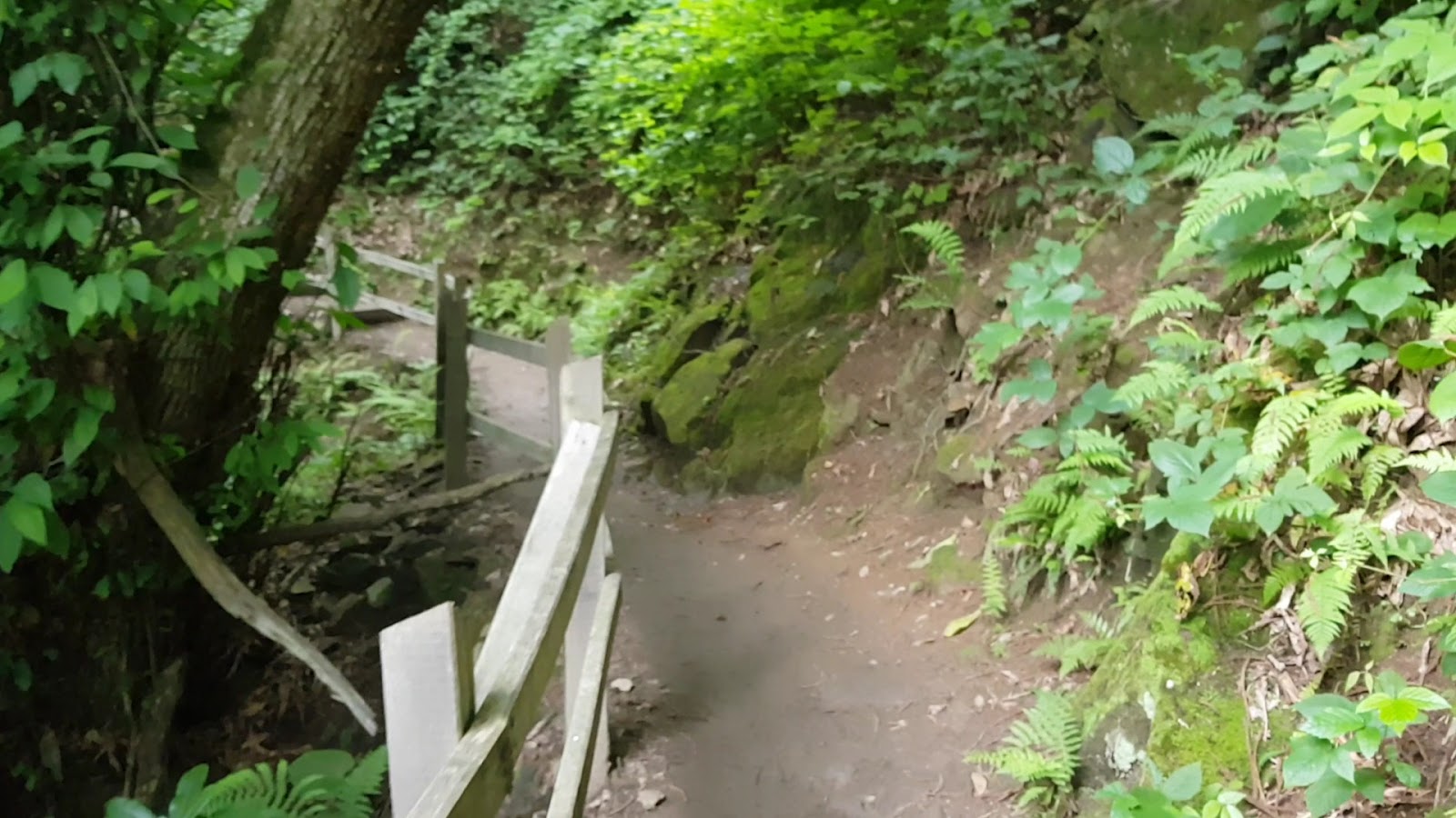 Mençuna Konakları — fotoğraf 3