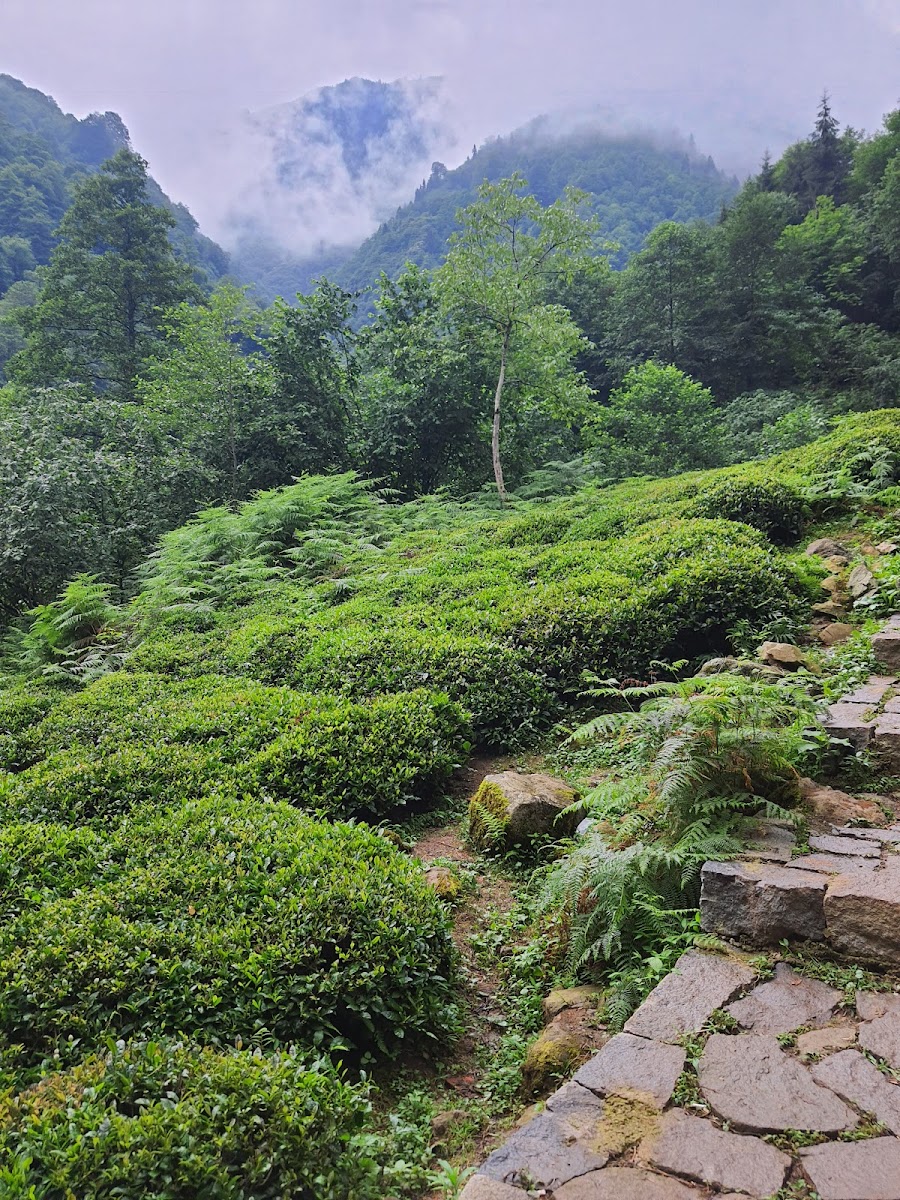 Mençuna Şelalesi — fotoğraf 4