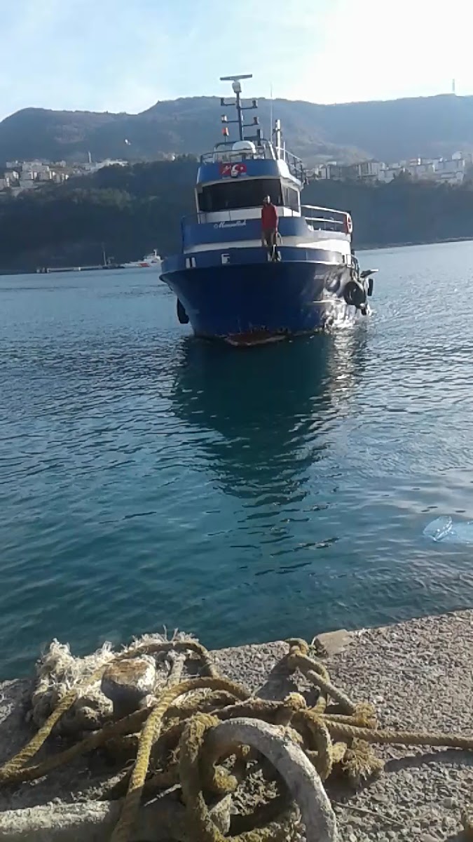 Mendirek — fotoğraf 3