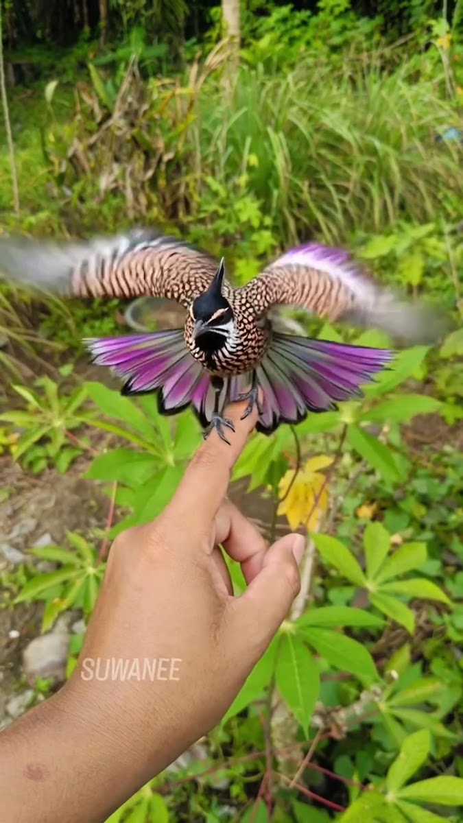 MENZİL cami — fotoğraf 2