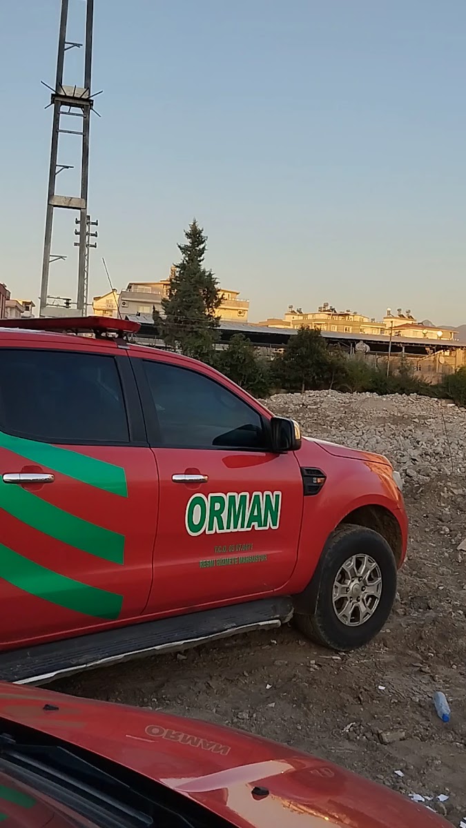 Mercan Lokantası & Toplu Yemekçilik — fotoğraf 3