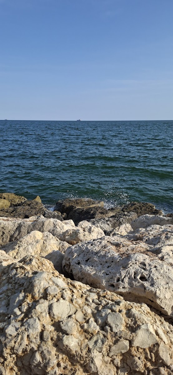 Mersin Büyükşehir Belediyesi Kültür Parkı — fotoğraf 2