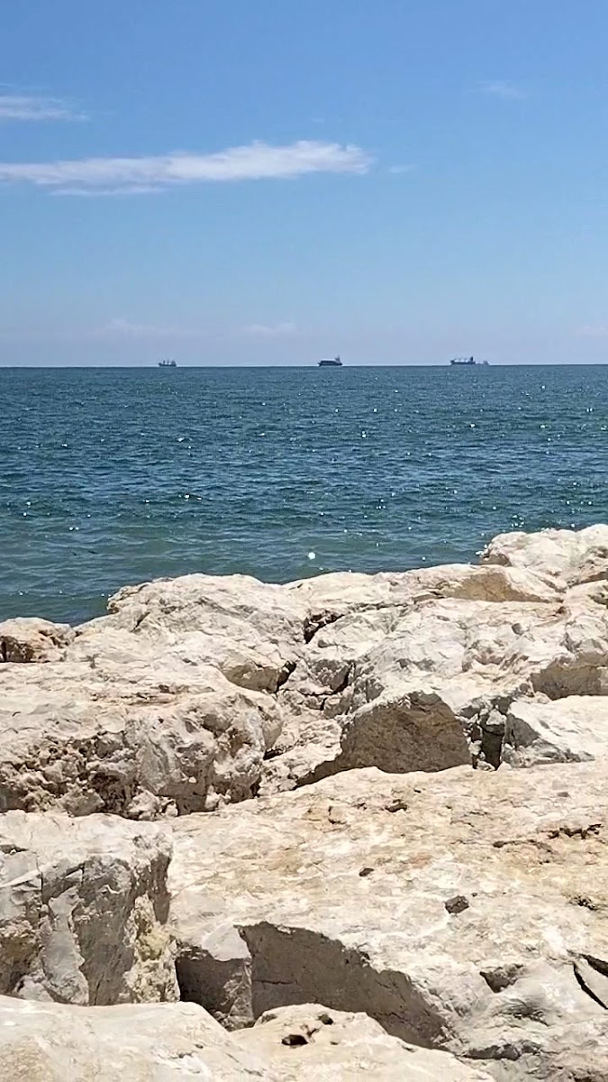 Mersin Deniz Feneri — photo 2