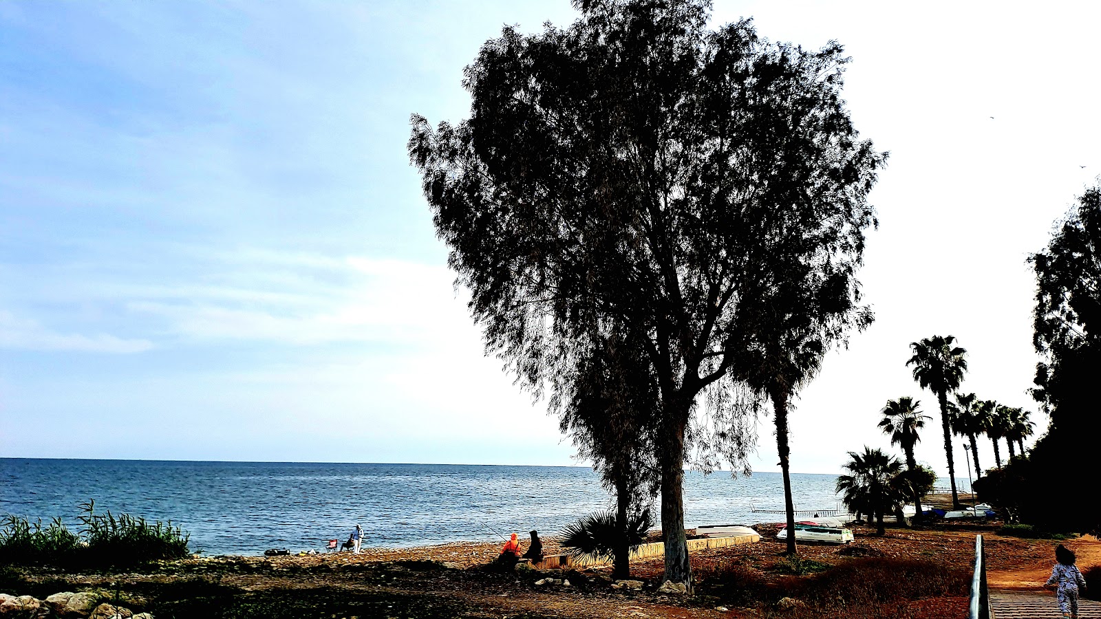 Mersin Yüzüncü Yıl Tabiat Parkı — fotoğraf 2