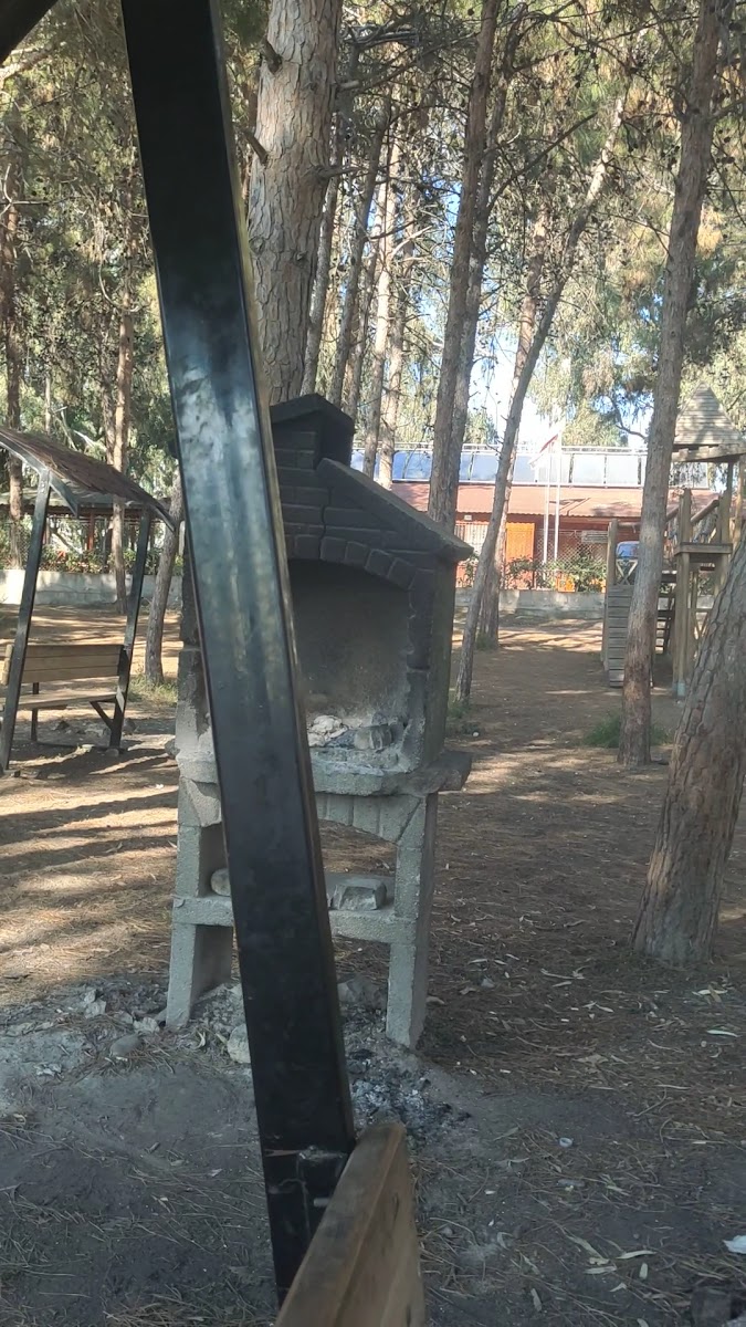 Mersin Yüzüncü Yıl Tabiat Parkı — fotoğraf 3