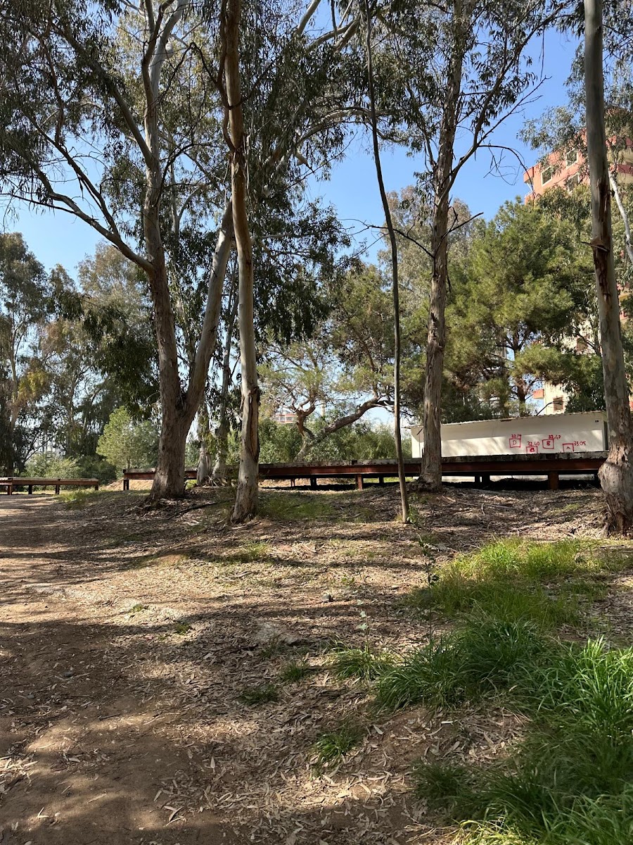 Mersin Yüzüncü Yıl Tabiat Parkı — fotoğraf 5