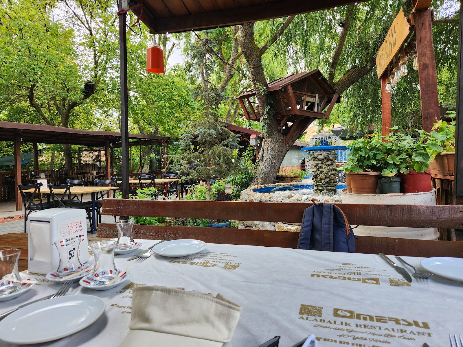 Mersu Alabalık — fotoğraf