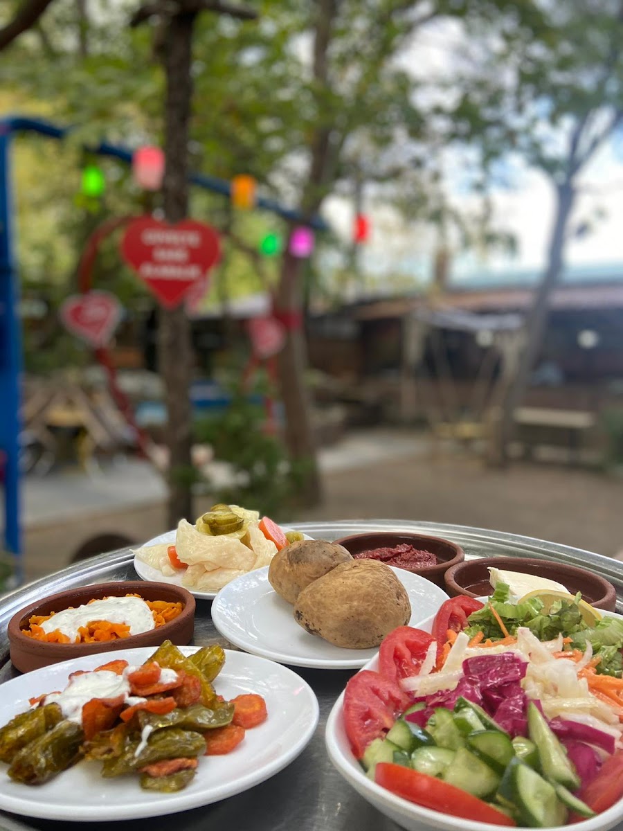 Mersu Alabalık — fotoğraf 6
