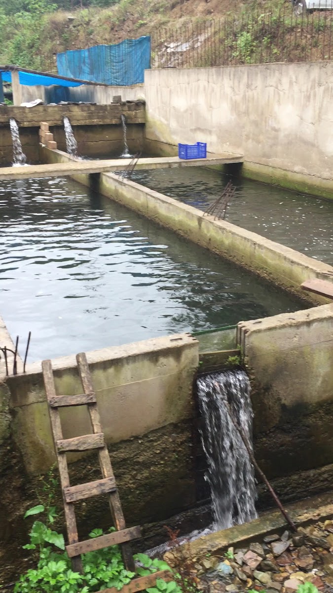 MERT ALABALIK — fotoğraf 3