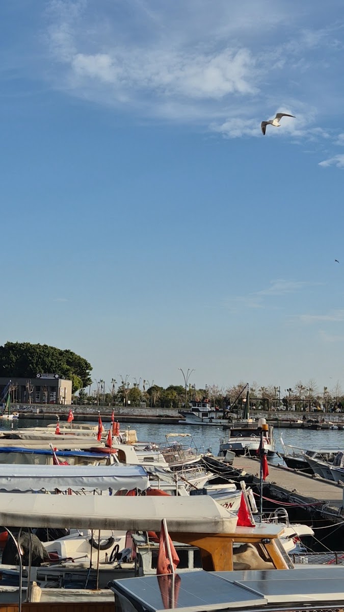 Meryem Ana Közde Balık Yüzer Restoran — photo 3