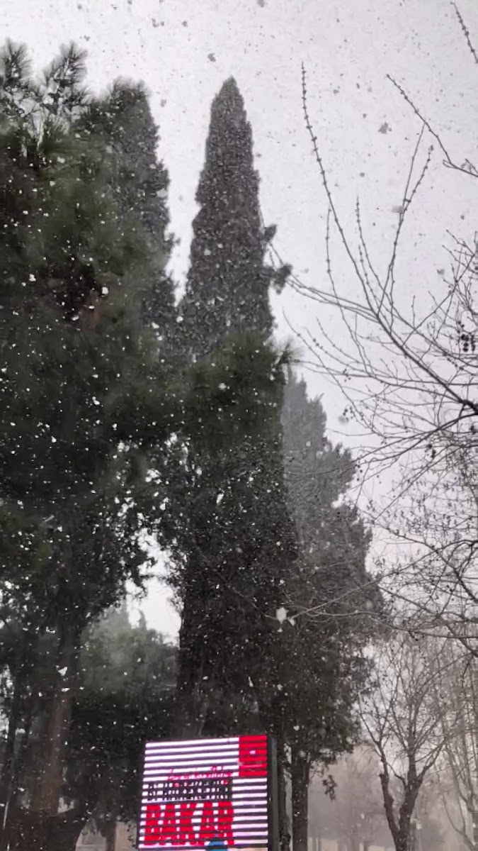 Merzifon Saat Kulesi — fotoğraf 3