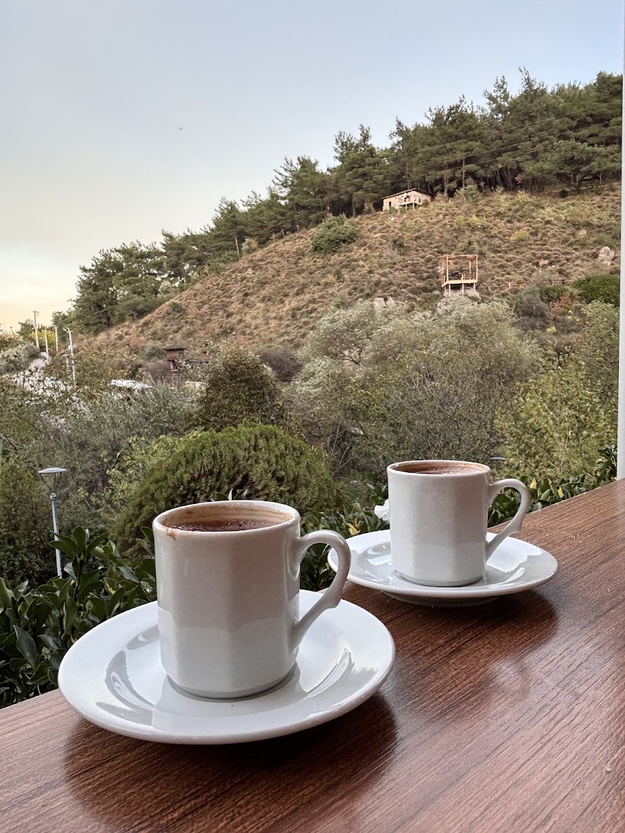 Mesir Tabiat Parkı — photo 4