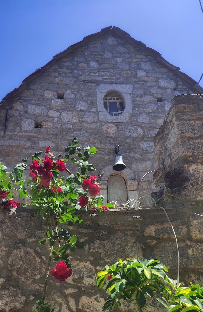 Mesta — photo 2