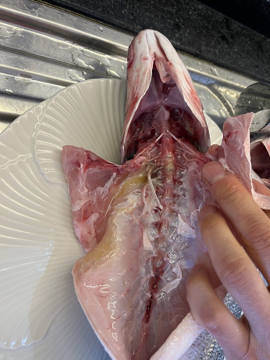 Metro Market Antalya — fotoğraf 2