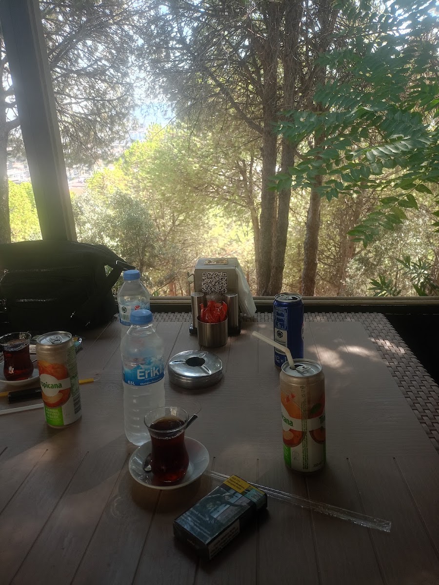 Mevlana Turistik Tesisleri — photo 3