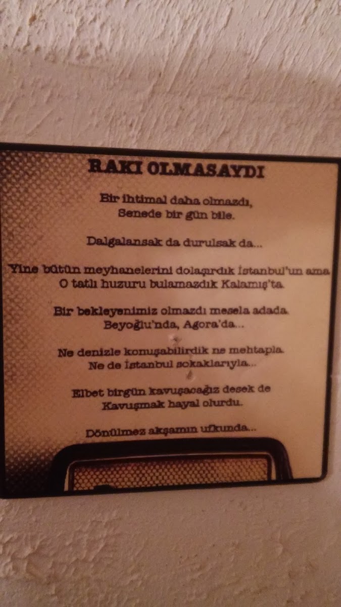 MEYHANE AŞİNA — photo 2