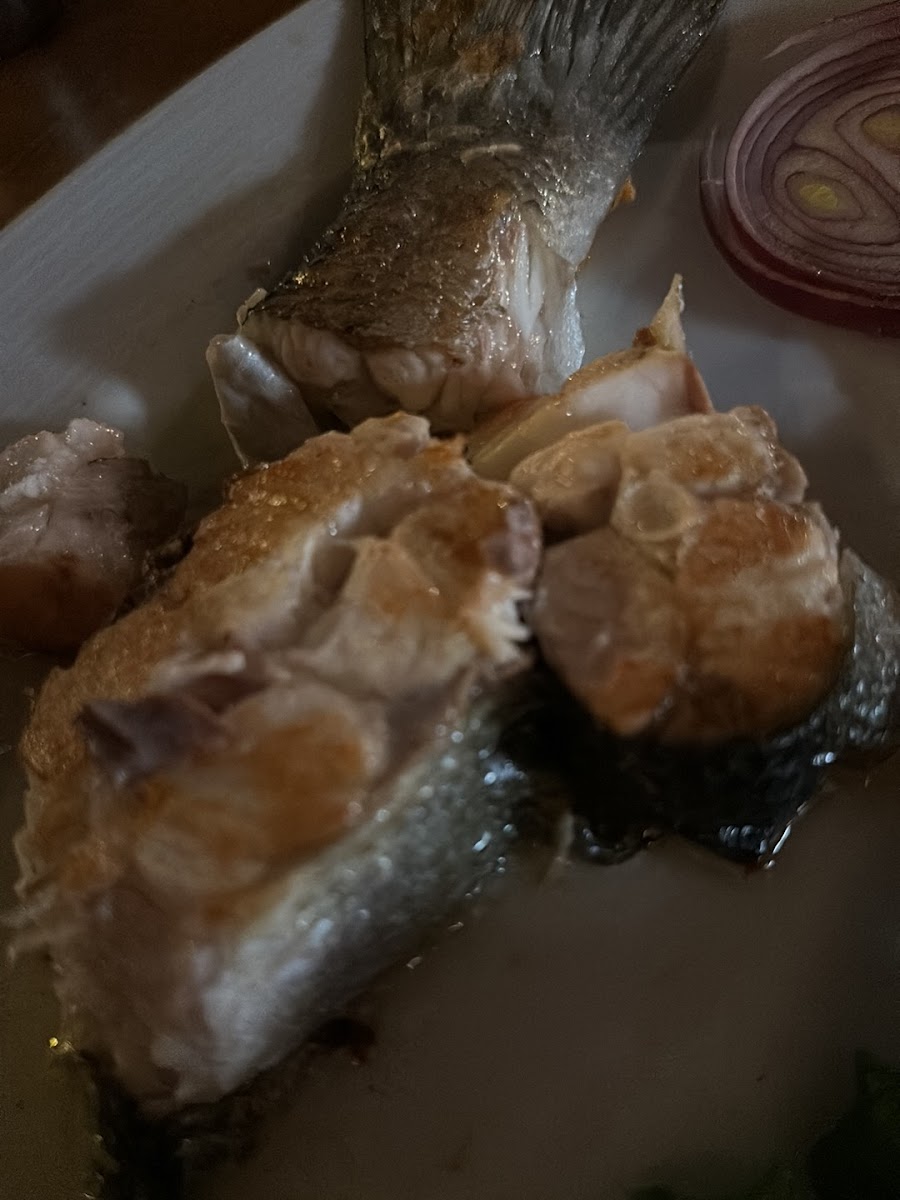 Mezze House İki Kule — fotoğraf 2