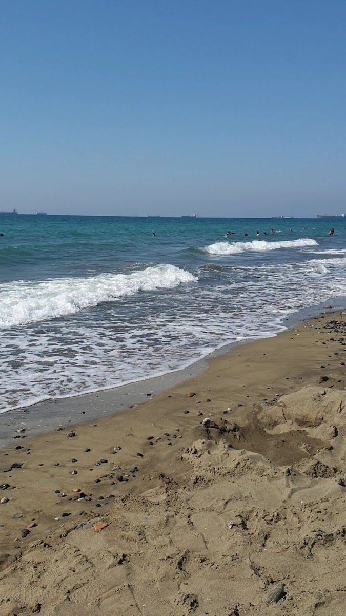 Micana Rhosus Beach — fotoğraf 3