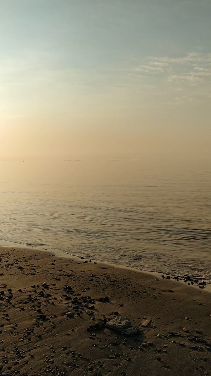 Micana Rhosus Beach — fotoğraf 4