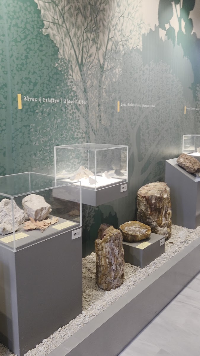 Natural History Museum of the Lesvos Petrified Forest — photo 3