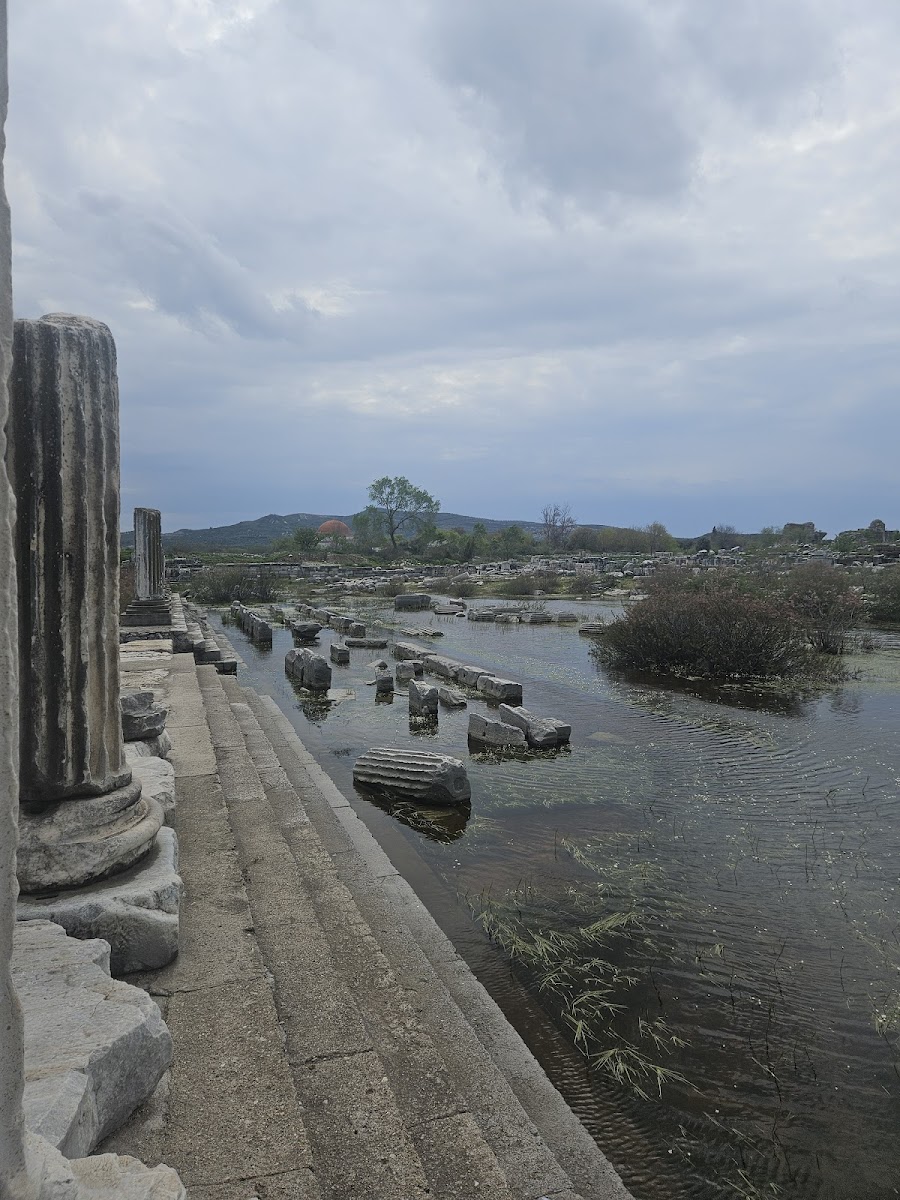 Milet Antik Kenti — fotoğraf 2
