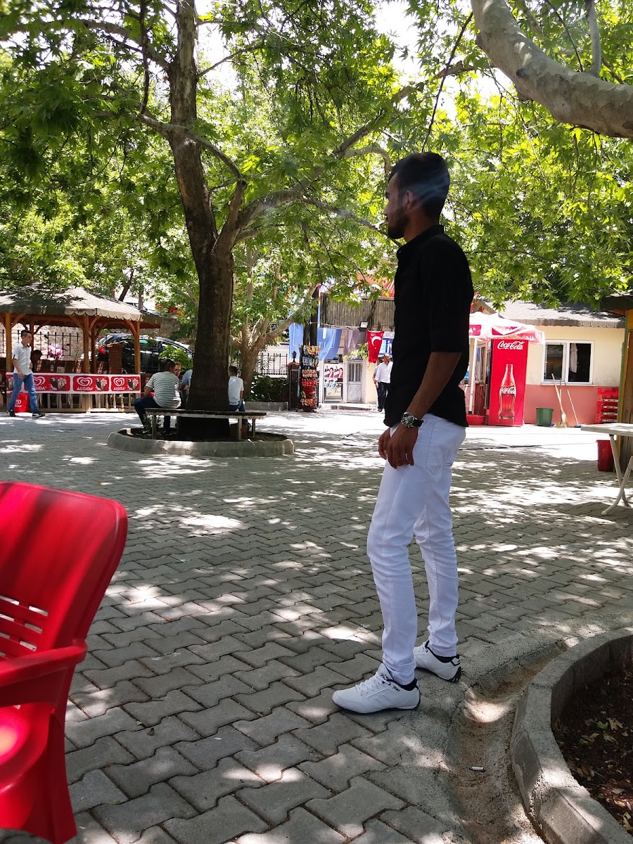 Mili Egemenlik Parkı — photo 3