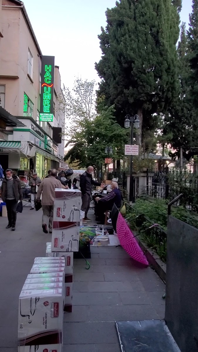 Milka Pastanesi — photo 3