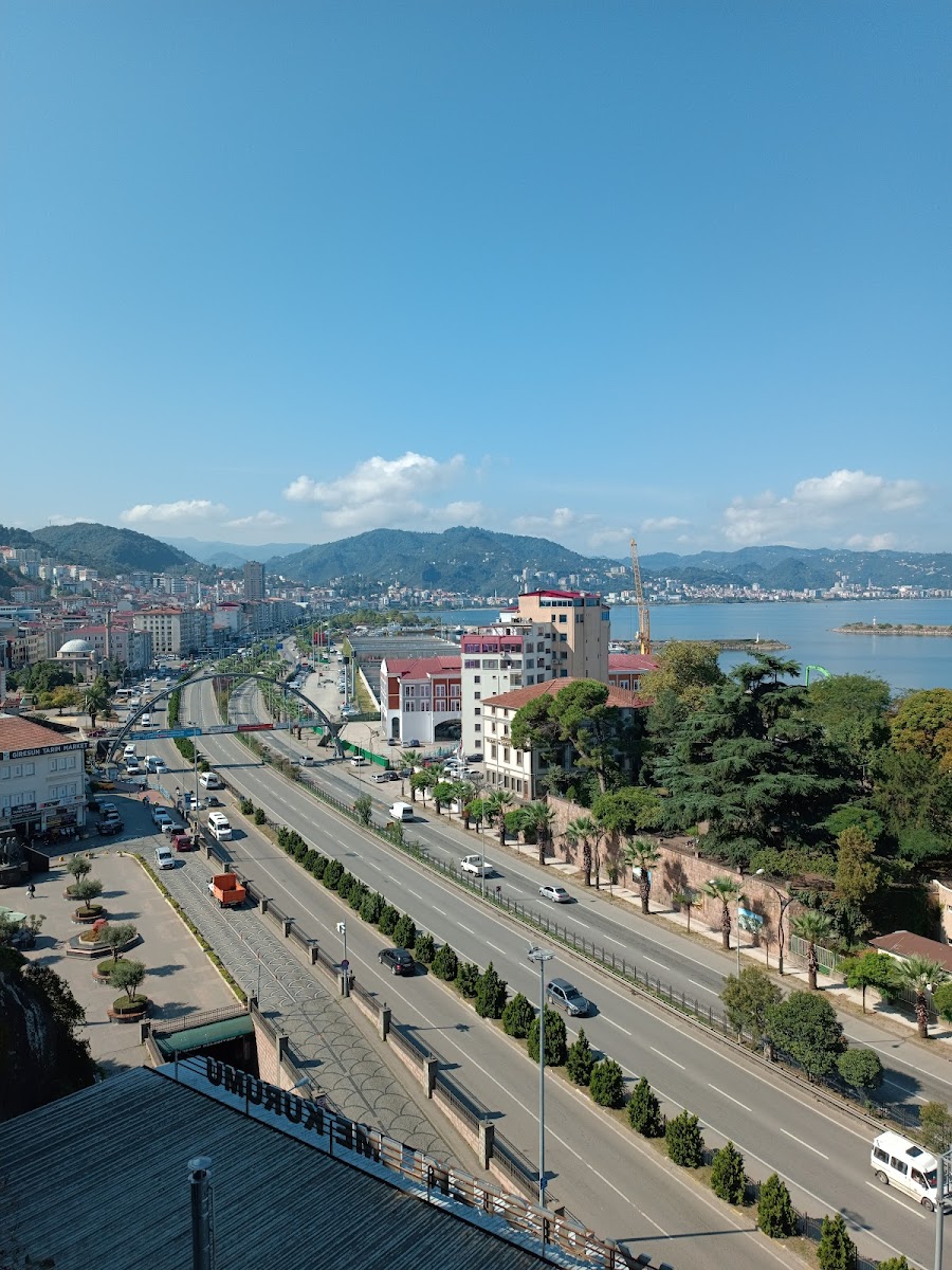 Millet Bahçesi — fotoğraf 2