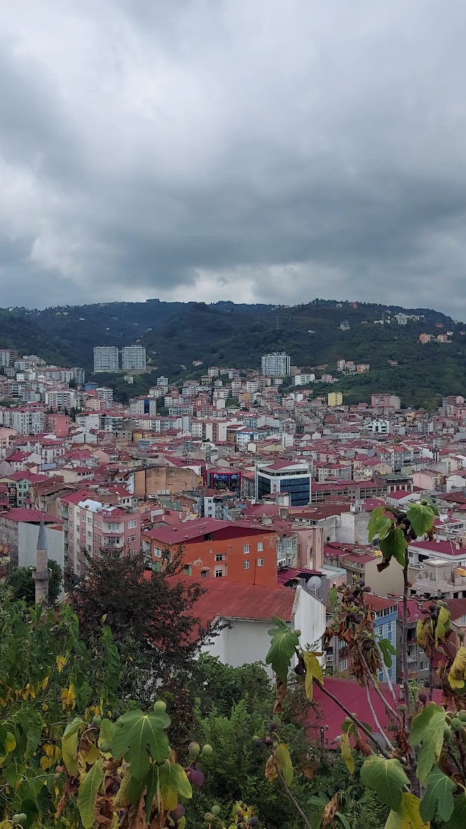 Millet Bahçesi — fotoğraf 3