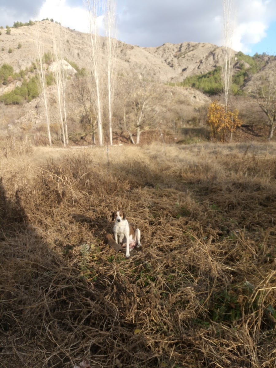 Milli Hakimiyet Parkı — fotoğraf 2