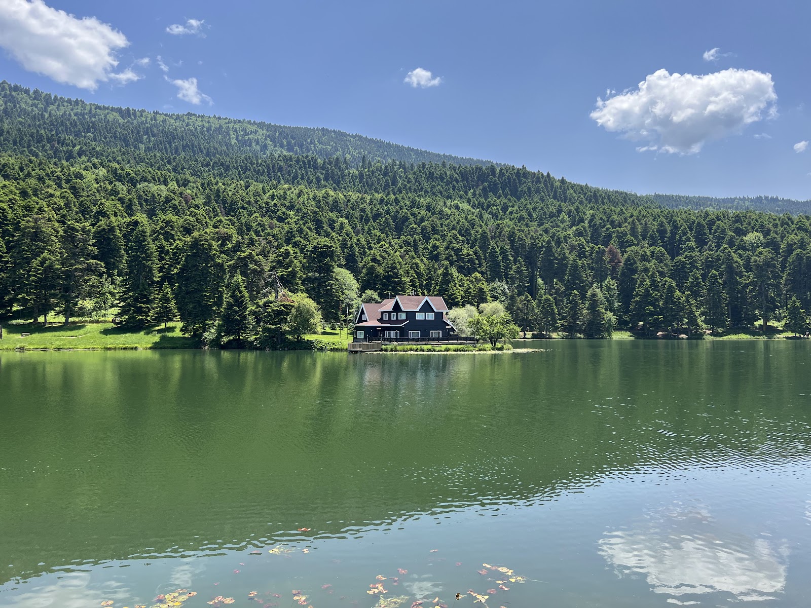 Milli Park — fotoğraf 4