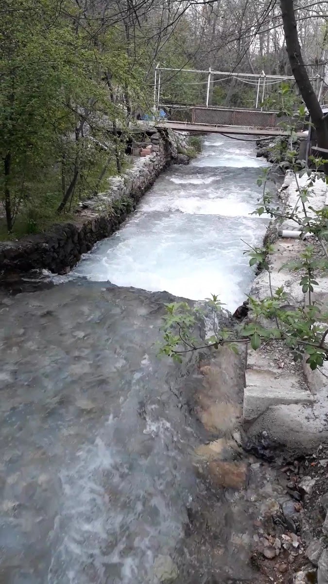 Milli Pınar restaurant — fotoğraf 3