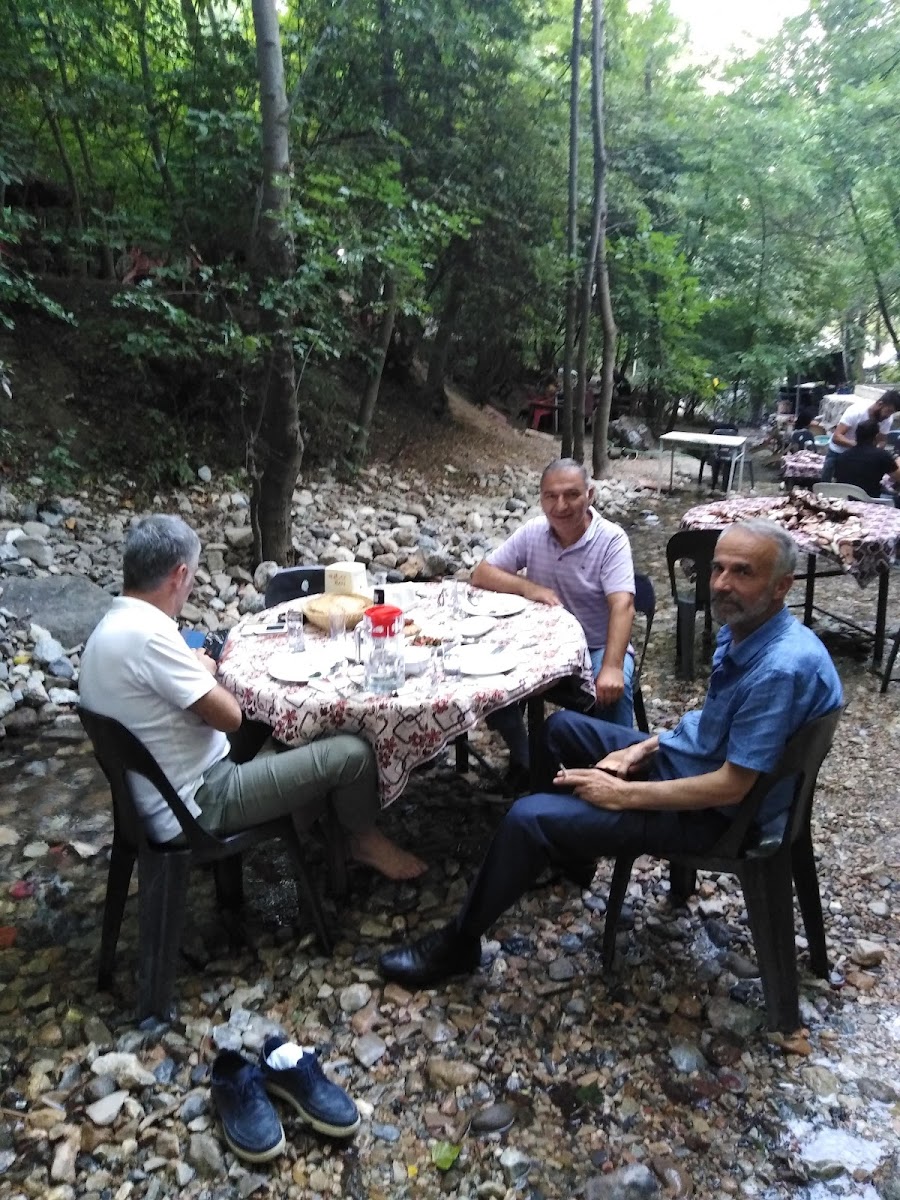 Milli Pınar restaurant — fotoğraf 4