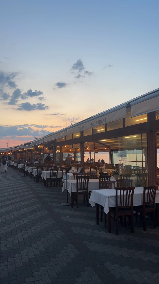 Milto Restaurant — fotoğraf 3
