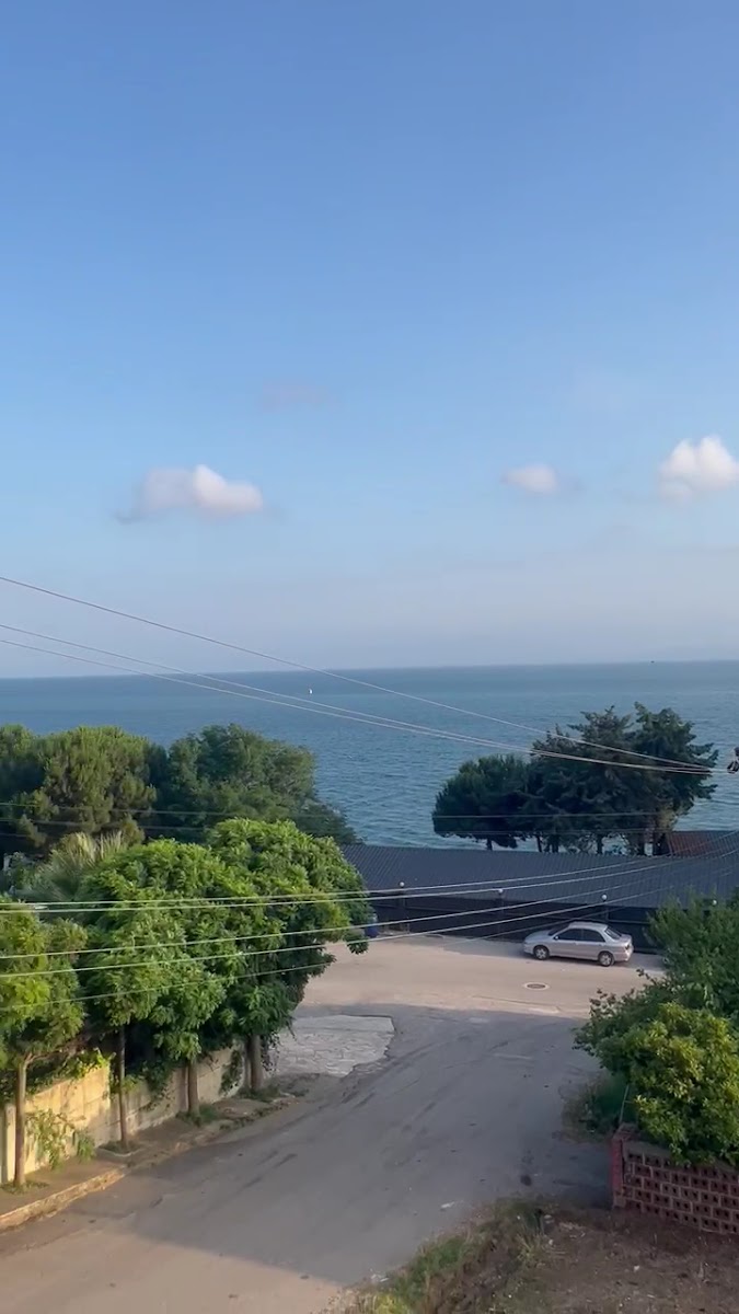 Mimoza Apart & Otel — fotoğraf 3