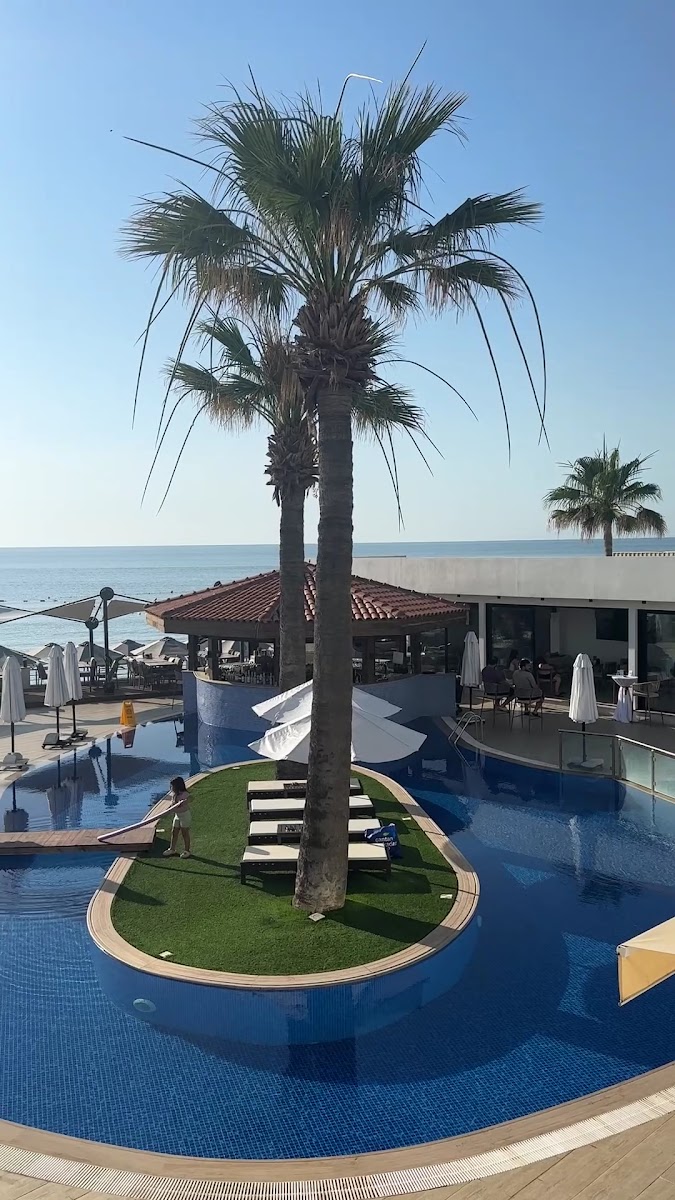Mimoza Beach Hotel — photo 5