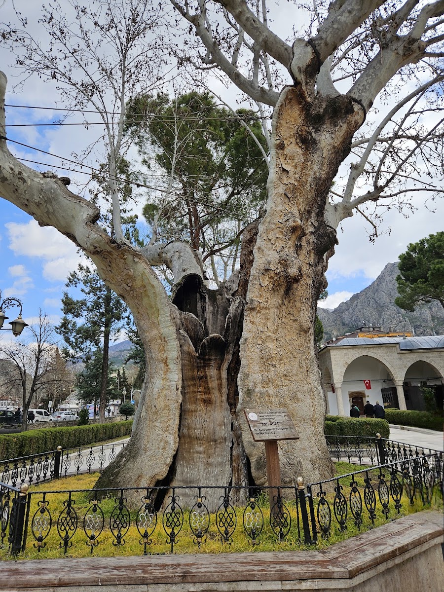 Minyatür Amasya Müzesi — fotoğraf 4