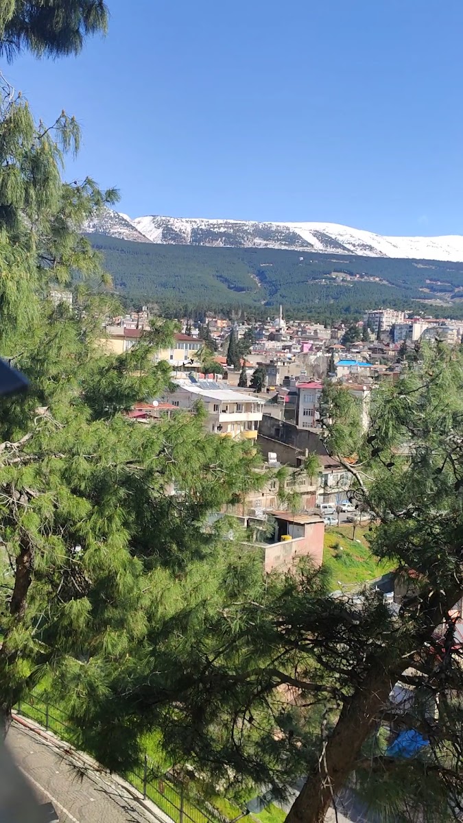 Minyatür Kahramanmaraş Kurtuluş Müzesi — fotoğraf 3