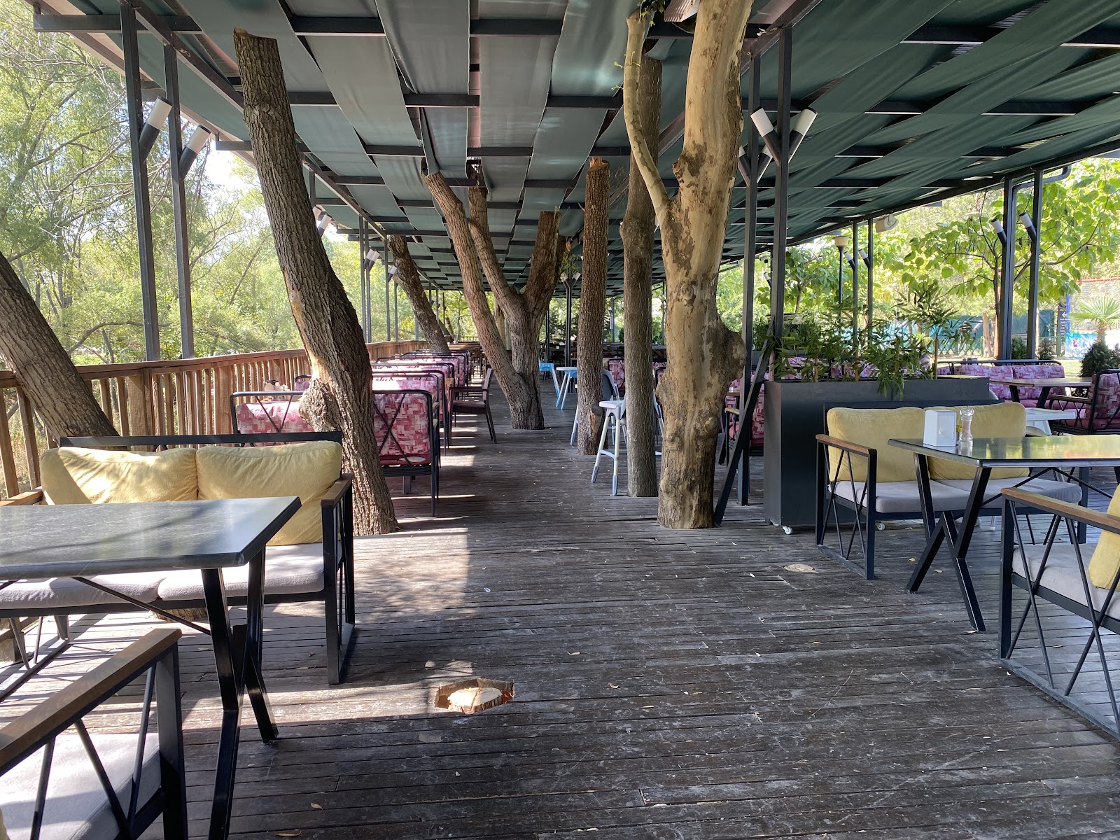 Misi Yaşam — fotoğraf 1