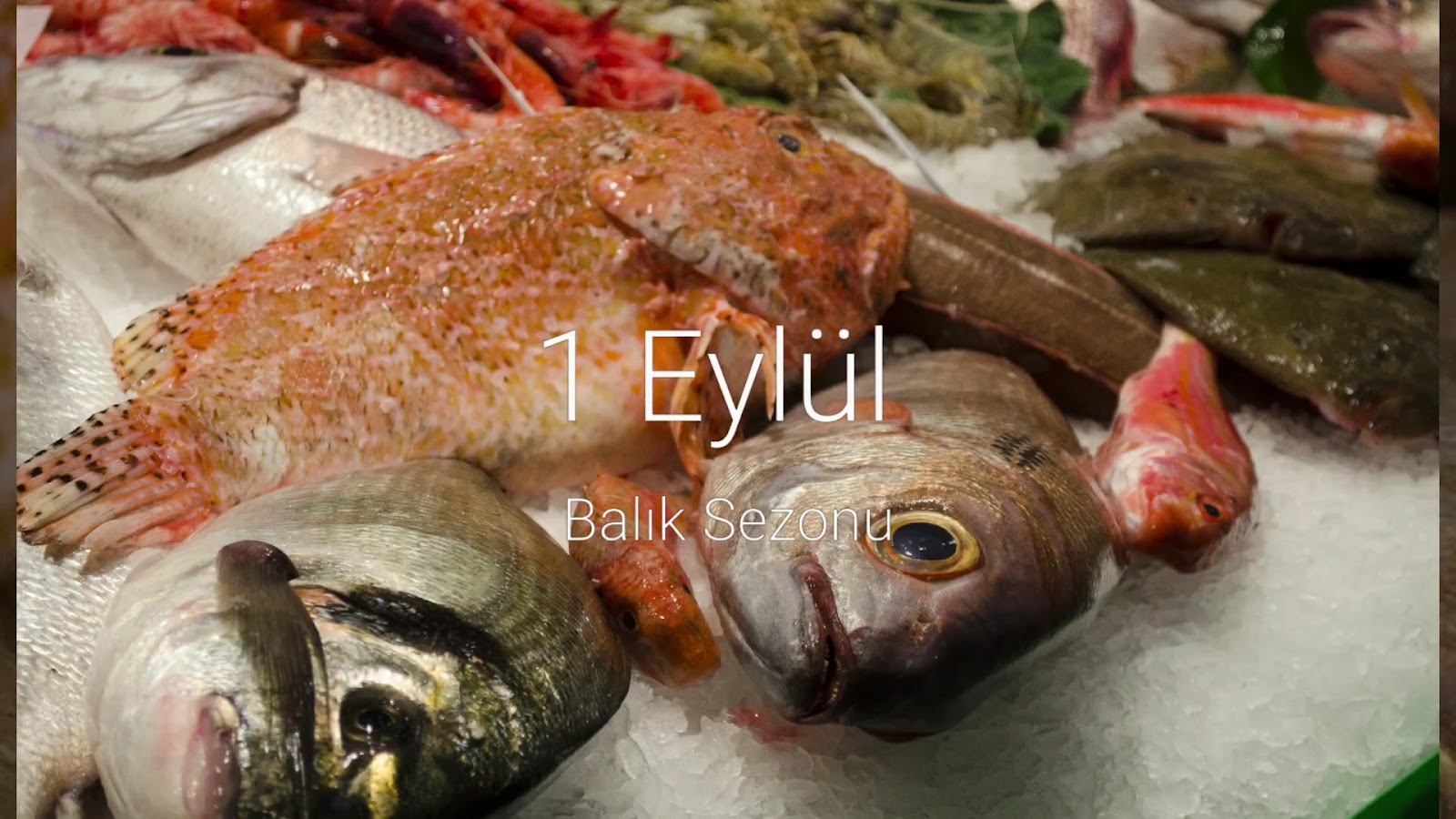 Misina Balık Restaurant — fotoğraf 2