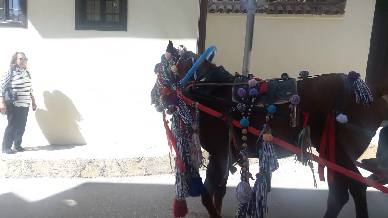 Mısırlılar Evi — fotoğraf 3