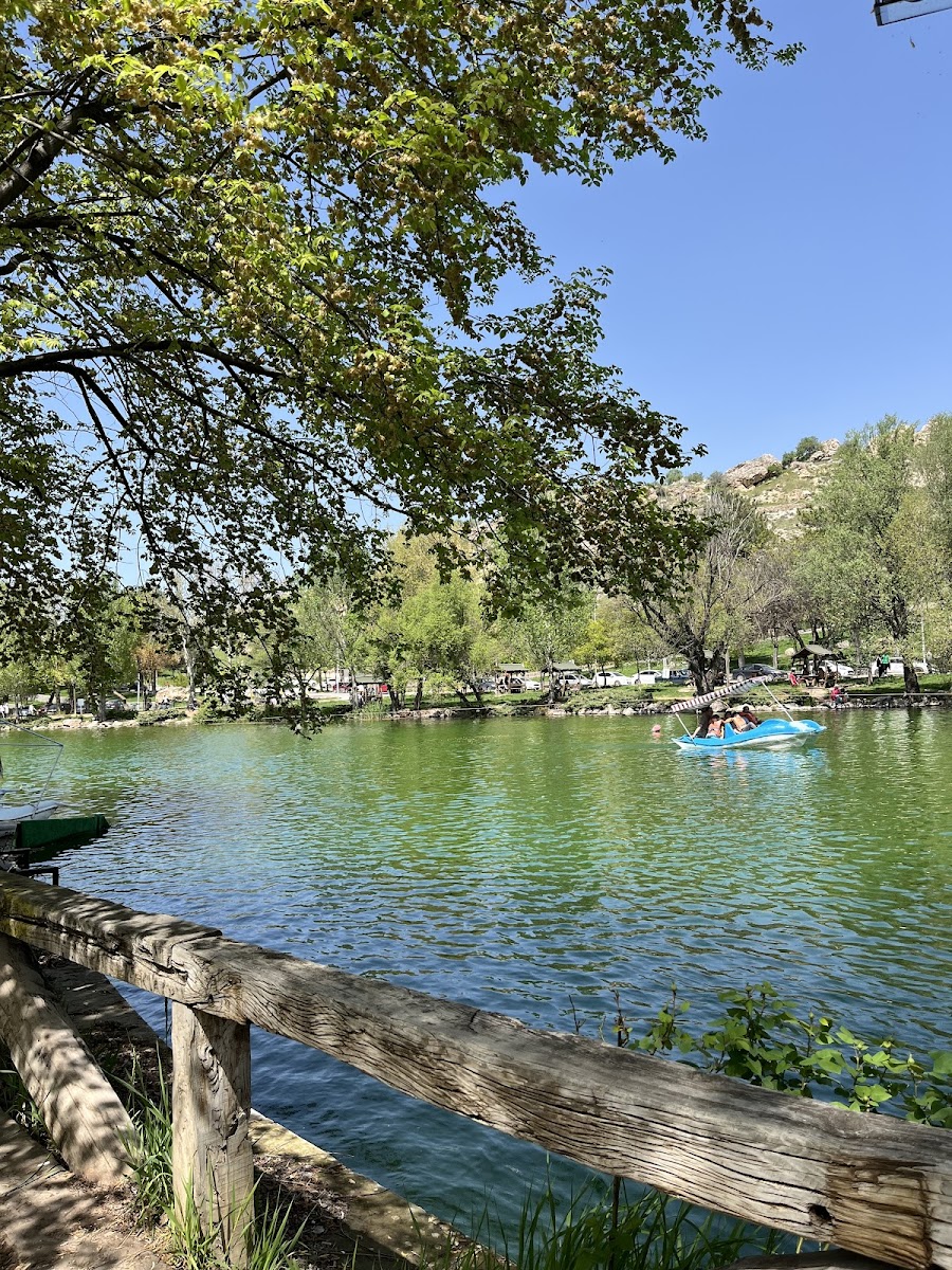 Mişmiş Park Fuar Alanı — fotoğraf