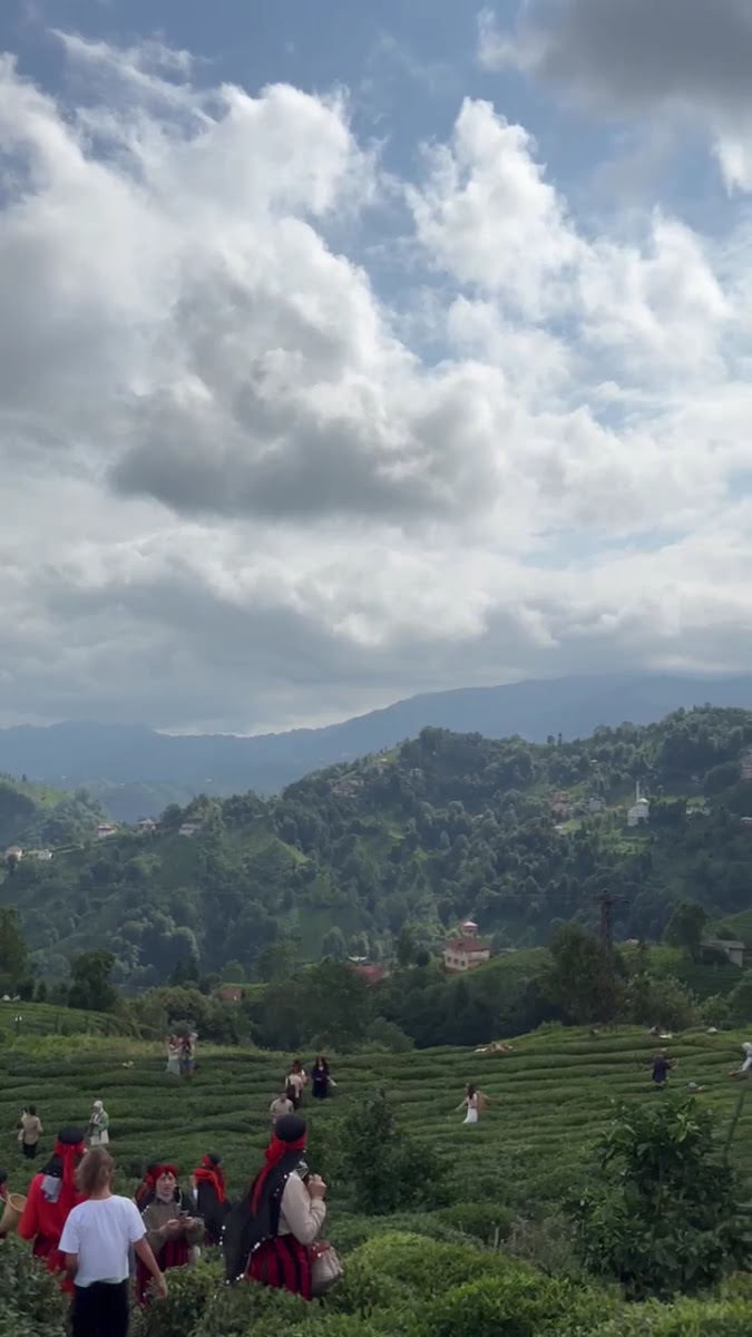 Mitratur — fotoğraf 3