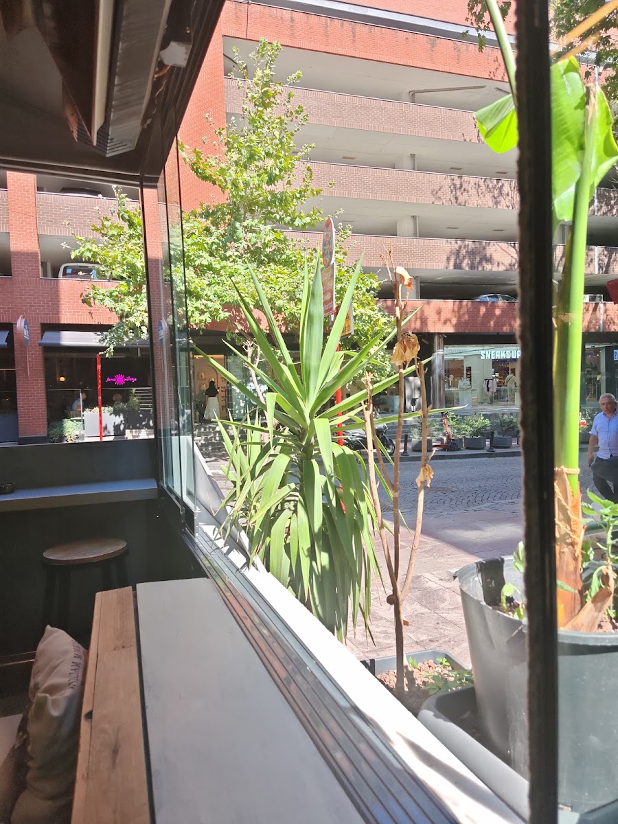 Molecule Coffee — photo 2