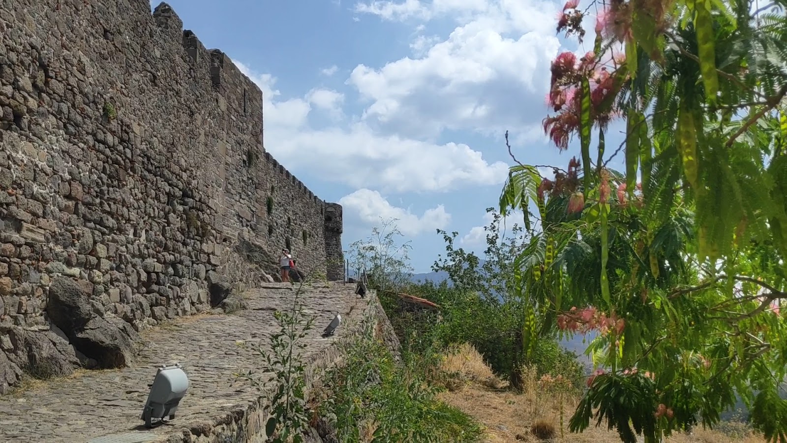 Molivos Kalesi — fotoğraf 3